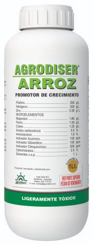 Arroz