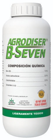 B Seven