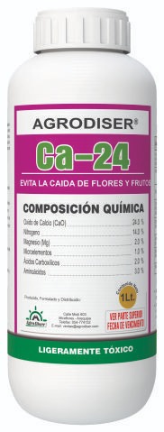Ca 24
